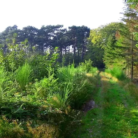 Cozy Retreat Near Marielyst - By Traum *