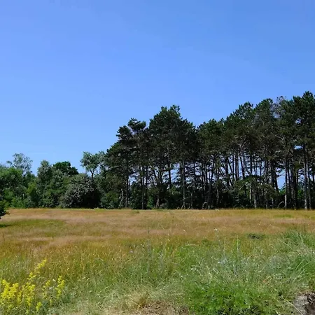 Cozy Retreat Near Marielyst - By Traum *