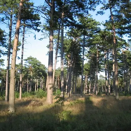 Cozy Retreat Near Marielyst - By Traum *